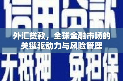 龙潭外汇贷款，全球金融市场的关键驱动力与风险管理