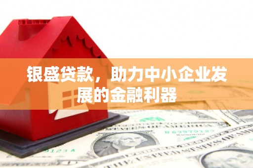 龙潭银盛贷款，助力中小企业发展的金融利器