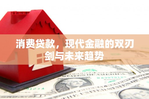 龙潭消费贷款，现代金融的双刃剑与未来趋势