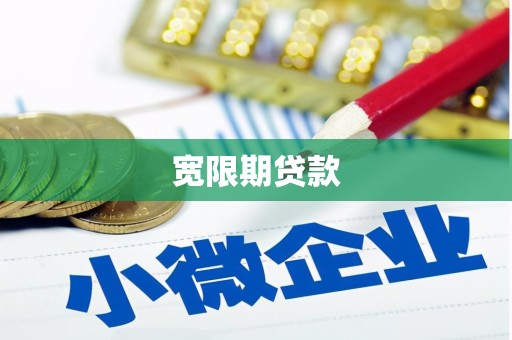 龙潭宽限期贷款