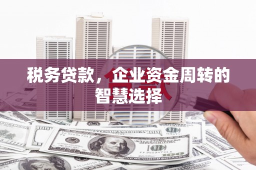 龙潭税务贷款，企业资金周转的智慧选择