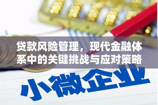 龙潭贷款风险管理，现代金融体系中的关键挑战与应对策略