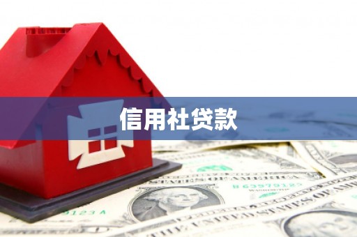 龙潭信用社贷款