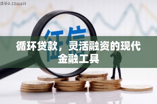 龙潭循环贷款，灵活融资的现代金融工具