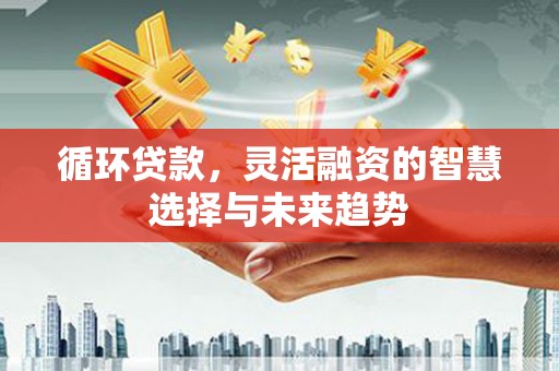 龙潭循环贷款，灵活融资的智慧选择与未来趋势