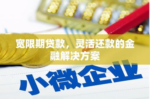 龙潭宽限期贷款，灵活还款的金融解决方案