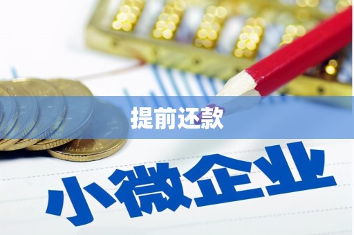 龙潭提前还款