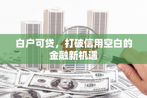 龙潭白户可贷，打破信用空白的金融新机遇