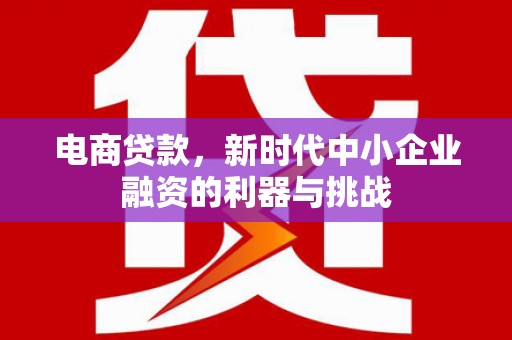 龙潭电商贷款，新时代中小企业融资的利器与挑战