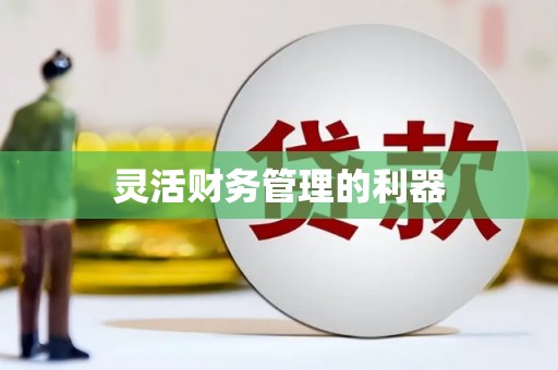 龙潭灵活财务管理的利器