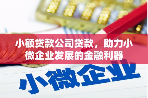 龙潭小额贷款公司贷款，助力小微企业发展的金融利器