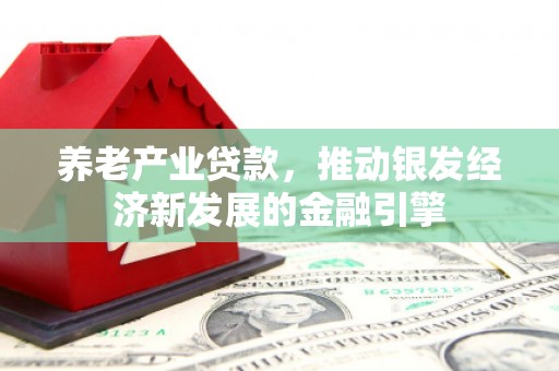 龙潭养老产业贷款，推动银发经济新发展的金融引擎