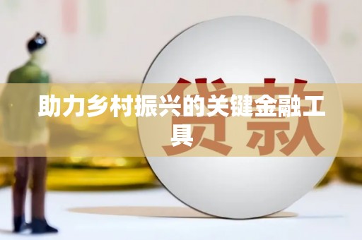 龙潭助力乡村振兴的关键金融工具