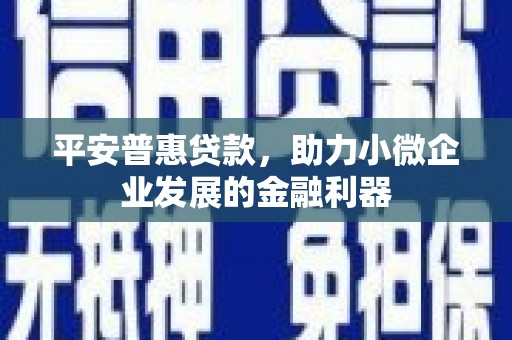 龙潭平安普惠贷款，助力小微企业发展的金融利器