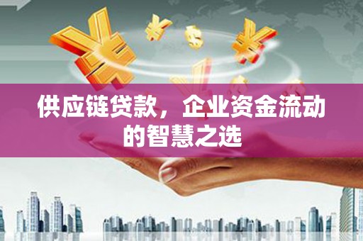 龙潭供应链贷款，企业资金流动的智慧之选