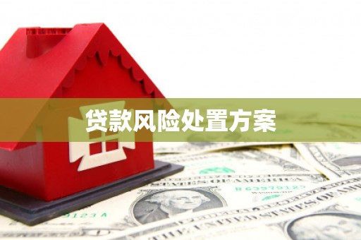 龙潭贷款风险处置方案