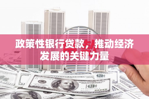 龙潭政策性银行贷款，推动经济发展的关键力量