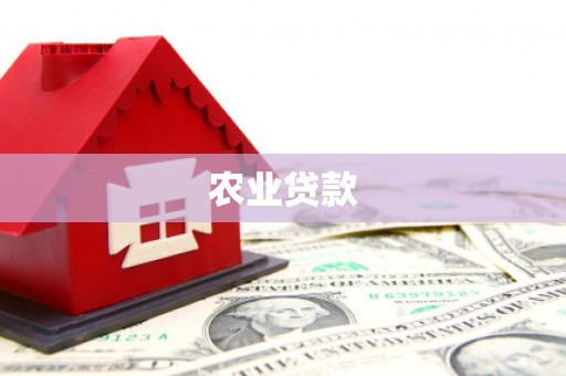龙潭农业贷款