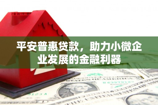 龙潭平安普惠贷款，助力小微企业发展的金融利器
