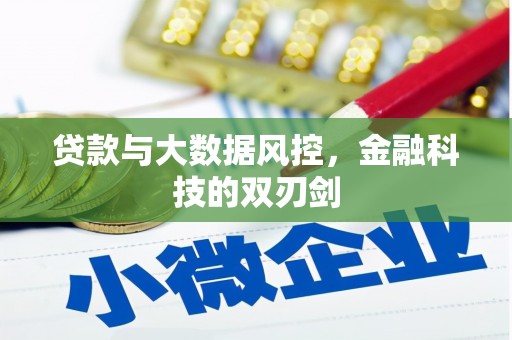 龙潭贷款与大数据风控，金融科技的双刃剑
