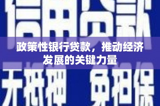 龙潭政策性银行贷款，推动经济发展的关键力量