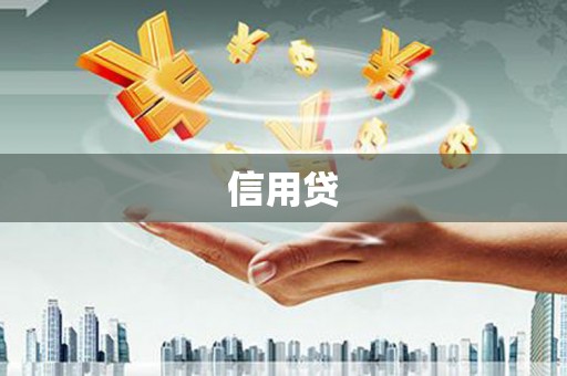 龙潭信用贷