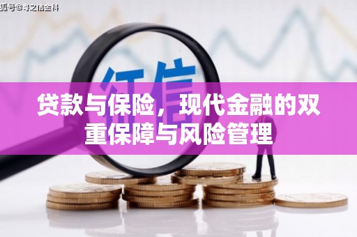 龙潭贷款与保险，现代金融的双重保障与风险管理