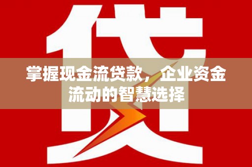龙潭掌握现金流贷款，企业资金流动的智慧选择