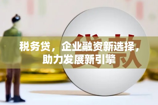 龙潭税务贷，企业融资新选择，助力发展新引擎