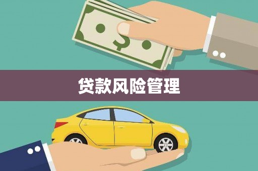 龙潭贷款风险管理