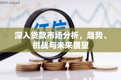 龙潭深入贷款市场分析，趋势、挑战与未来展望