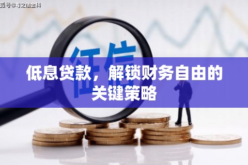 龙潭低息贷款，解锁财务自由的关键策略