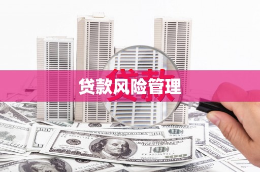 龙潭贷款风险管理