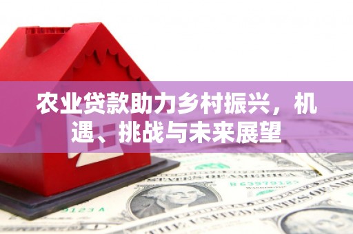 龙潭农业贷款助力乡村振兴，机遇、挑战与未来展望