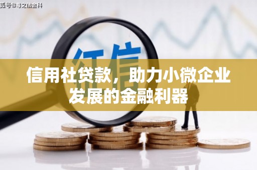 龙潭信用社贷款，助力小微企业发展的金融利器