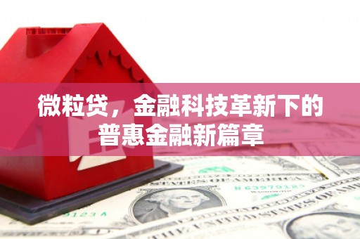 龙潭微粒贷，金融科技革新下的普惠金融新篇章