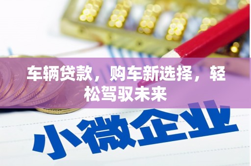 龙潭车辆贷款，购车新选择，轻松驾驭未来