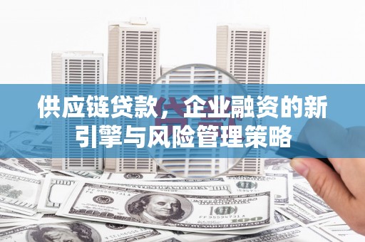 龙潭供应链贷款，企业融资的新引擎与风险管理策略