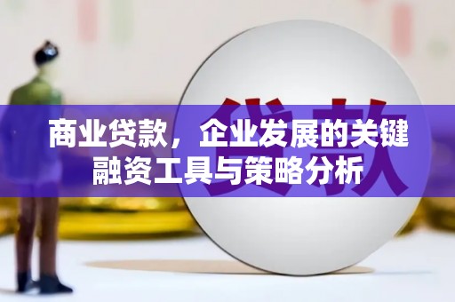 龙潭商业贷款，企业发展的关键融资工具与策略分析