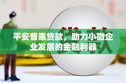 龙潭平安普惠贷款，助力小微企业发展的金融利器
