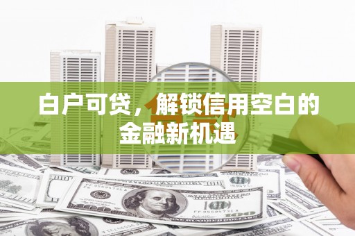 龙潭白户可贷，解锁信用空白的金融新机遇