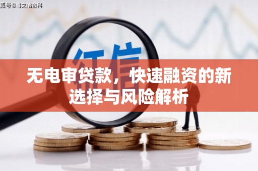 龙潭无电审贷款，快速融资的新选择与风险解析