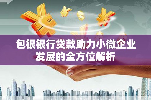 龙潭包银银行贷款助力小微企业发展的全方位解析