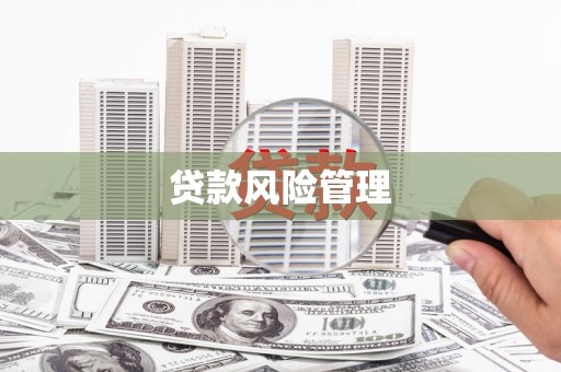 龙潭贷款风险管理