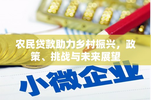 龙潭农民贷款助力乡村振兴，政策、挑战与未来展望