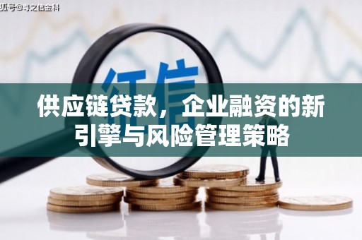 龙潭供应链贷款，企业融资的新引擎与风险管理策略