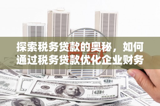 龙潭探索税务贷款的奥秘，如何通过税务贷款优化企业财务