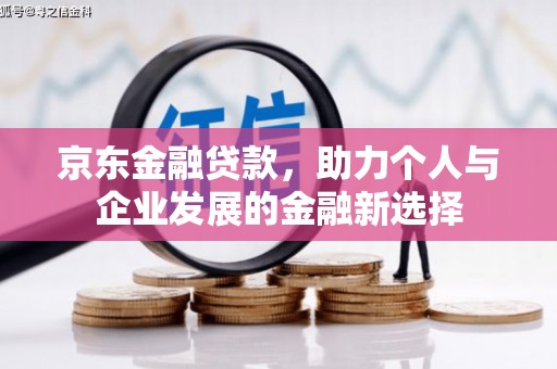 龙潭京东金融贷款，助力个人与企业发展的金融新选择