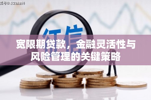 龙潭宽限期贷款，金融灵活性与风险管理的关键策略