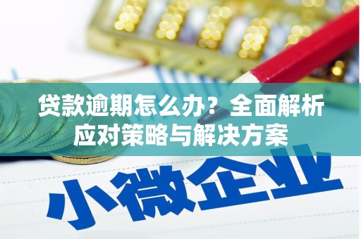 龙潭贷款逾期怎么办？全面解析应对策略与解决方案